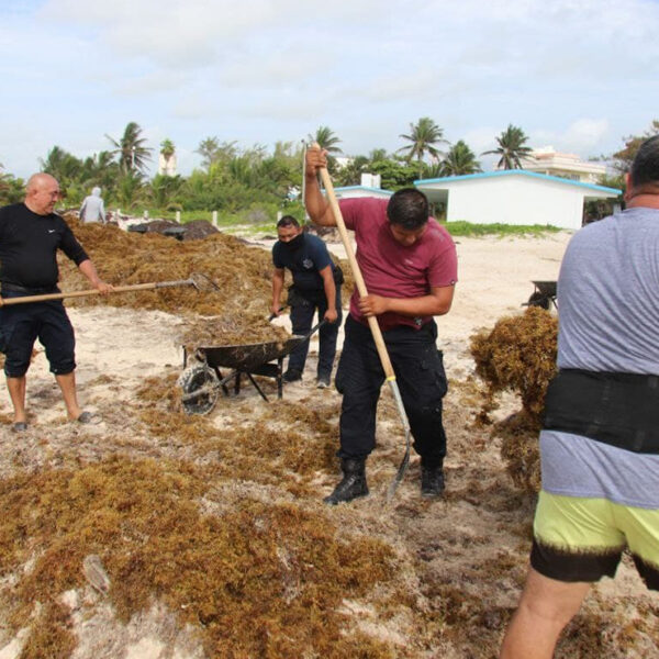 Gobierno de Puerto Morelos no baja la guardia contra el sargazo