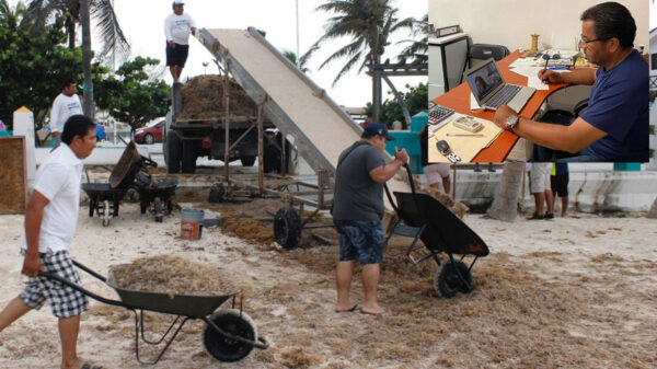 Participa Puerto Morelos en seminario nacional para combate al sargazo