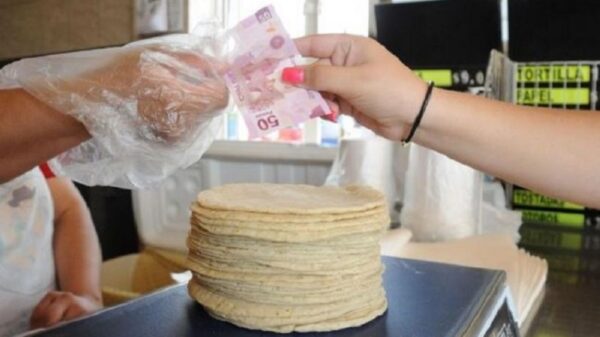 Cancún, entre las ciudades con el kilo de tortillas más caro.