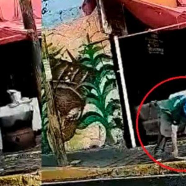 “Tacos de agua sucia en CdMx”; captan a taquero lavando trapo en un charco