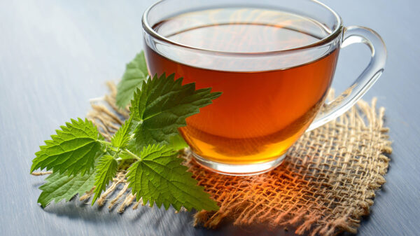 ¿Sabías que el té de orégano te ayuda a aliviar la tos? ¡Pruébalo ¡