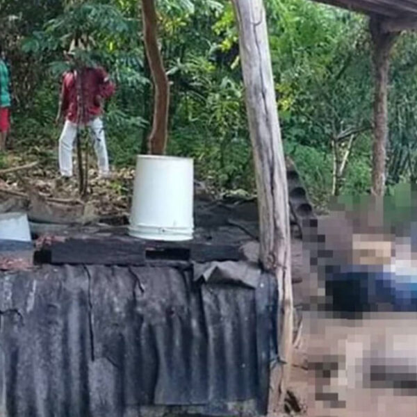 Dos personas y dos perros mueren al caerle un rayo en Oaxaca