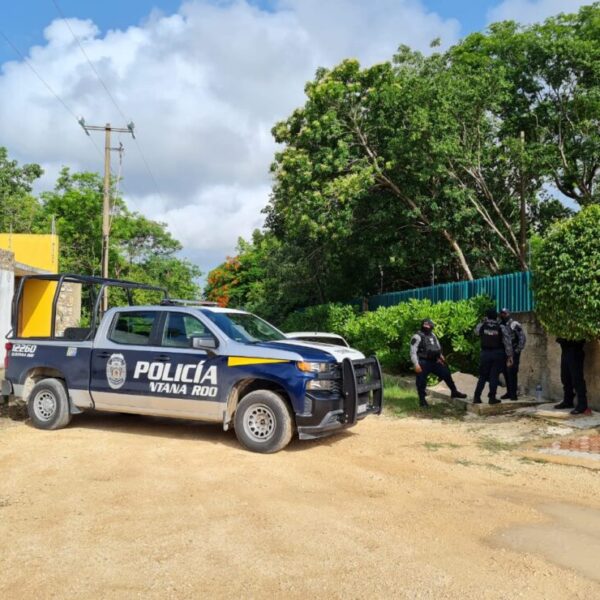 Descubren narcofosas en la delegación Alfredo V. Bonfil (VIDEO).