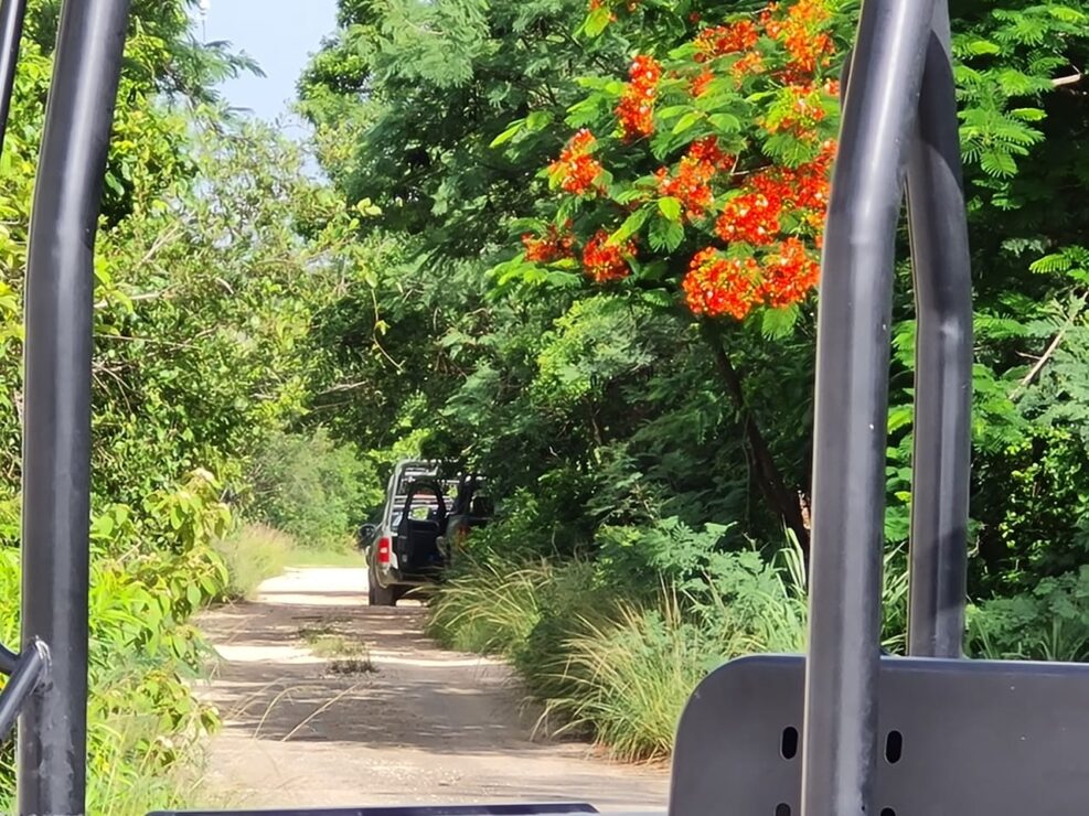 Descubren narcofosas en la delegación Alfredo V. Bonfil; pudiera haber varios cuerpos de personas reportadas como desaparecidas.