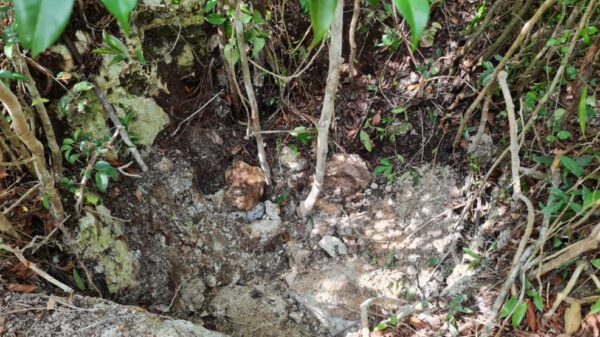 Encuentran cenote en Bonfil con más cuerpos (VIDEO).