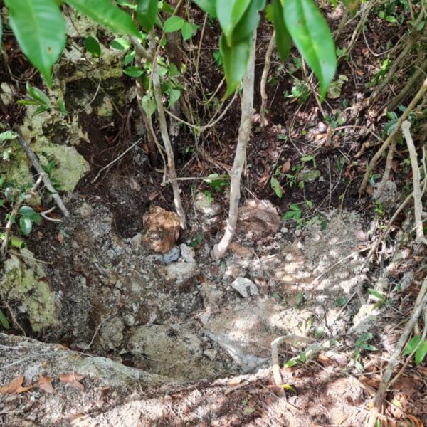 Encuentran cenote en Bonfil con más cuerpos (VIDEO).