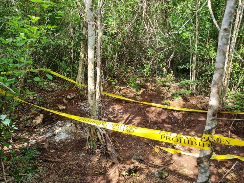 Encuentran cenote en Bonfil con más cuerpos (VIDEO); una denuncia anónima alertó a la FGE cerca de las narcofosas halladas ayer en la colonia Doctores.