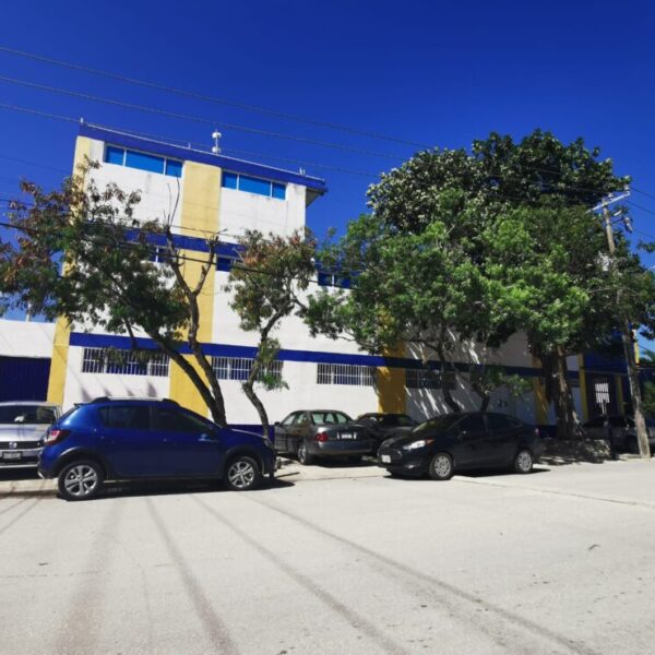 Uno de cada 10 alumnos ha perdido un padre a causa del Covid.