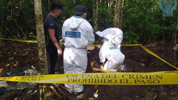 Fueron tres las narcofosas ubicadas en distintos puntos de Bonfil.