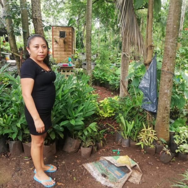 Resienten pérdidas los viveristas del sur de Lázaro Cárdenas.