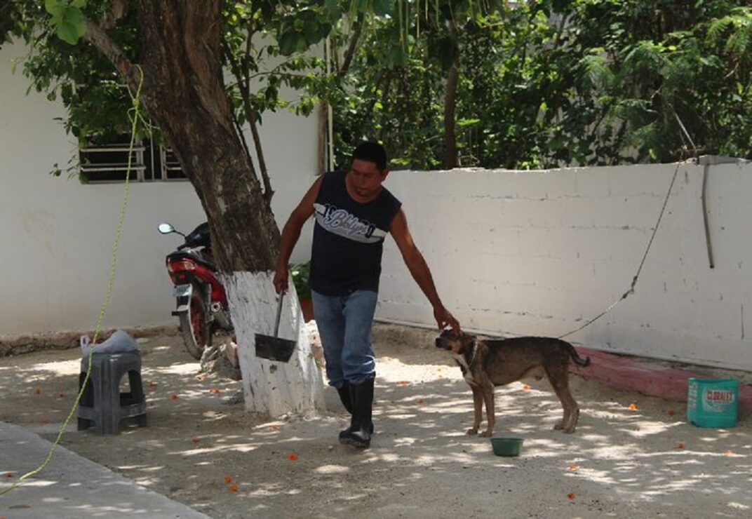 Ayuntamiento abandona a mascotas del Centro de Bienestar Canino; solamente destinan 3 mil pesos para la manutención de todo un año.
