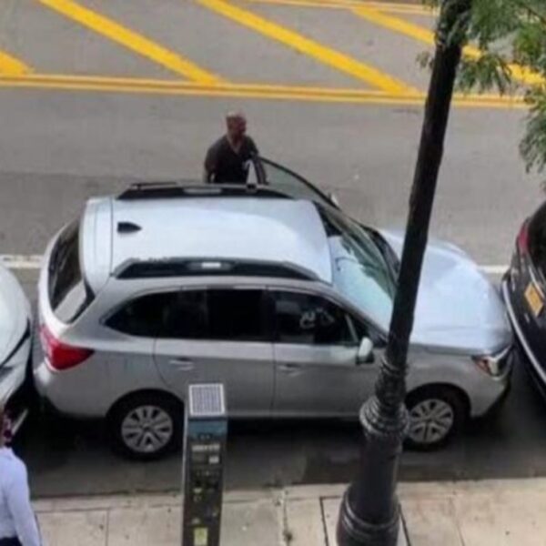 El video de un habilidoso conductor se viraliza en redes sociales, ya que logró sacar su unidad de un reducido lugar