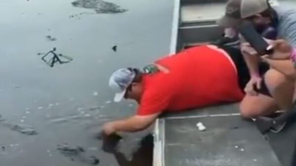 Esta historia ha causado revuelo en redes sociales, se trata de un hombre que uso un cocodrilo para abrir una lata de cerveza