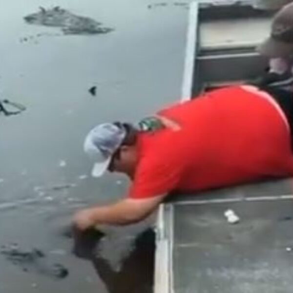 Esta historia ha causado revuelo en redes sociales, se trata de un hombre que uso un cocodrilo para abrir una lata de cerveza