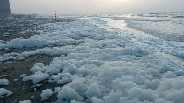 La espuma inusual que se concentra a los largo de la playa, ha causado curiosidad e incluso miedo entre los residentes de la zona