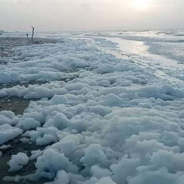 La espuma inusual que se concentra a los largo de la playa, ha causado curiosidad e incluso miedo entre los residentes de la zona