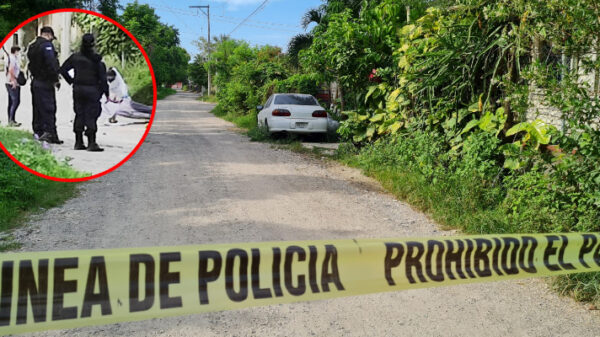 Feminicidio: Hallan a mujer ensabanada en la Región 209 de Cancún.