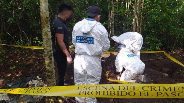 Identifica la Fiscalía dos de los 9 cuerpos hallados en narcofosas en Bonfil.