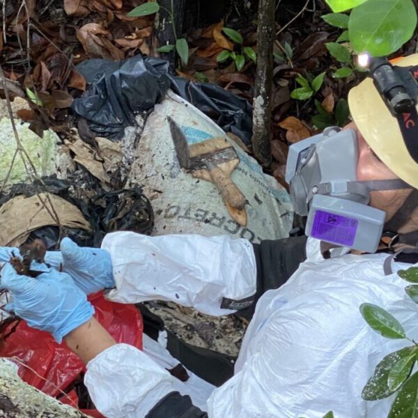 Recuperan siete cuerpos en narcofosa de Alfredo V. Bonfil.