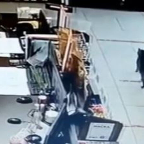 En una tienda de Siberia desplegaban operativos de vigilancia debido a que las alarmas se encendían , pero no daban con el intruso