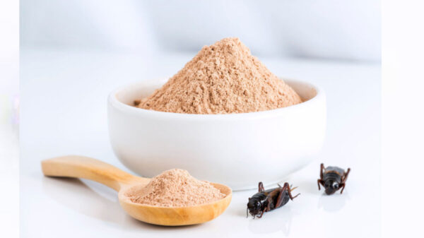 Buscan combatir el exceso de azúcar y grasa en la sangre con harina a base de insectos