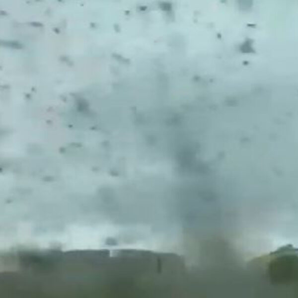 Las impresionantes imágenes de miles de mosquitos que formaron un tornado han causado asombro entre los usuarios de las redes sociales