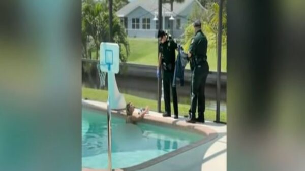 Un residente de Port Charlotte, Florida, quedó impactado cuando al llegar a su casa, al encontrar a una mujer nadando desnuda en la alberca