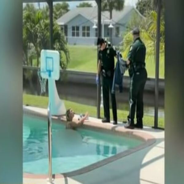Un residente de Port Charlotte, Florida, quedó impactado cuando al llegar a su casa, al encontrar a una mujer nadando desnuda en la alberca