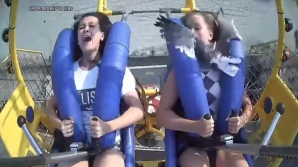 El día en el parque de diversiones que planeó una adolescente de EU, tuvo algún subidón de adrenalina extra al chocar contra una gaviota