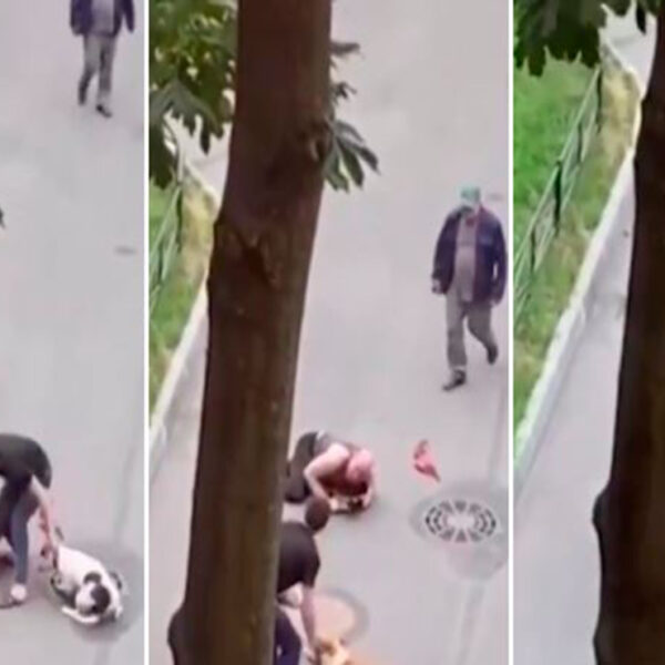 Un hombre puso en riesgo su vida para proteger a su peludo quien fue atacado por dos perros, mientras paseaban por un parque