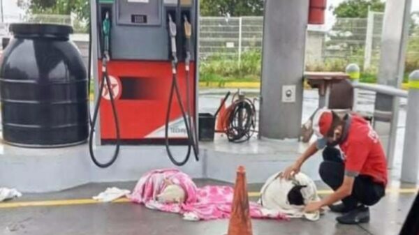 Un joven que ayudó a dos perritos dándoles una segunda oportunidad ha ganado popularidad, pues los rescato mientras trabajaba