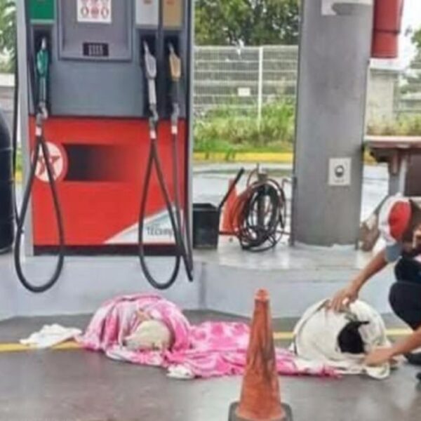 Un joven que ayudó a dos perritos dándoles una segunda oportunidad ha ganado popularidad, pues los rescato mientras trabajaba