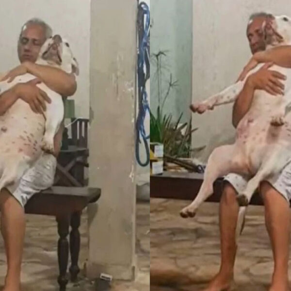 La imagen de un hombre abrazando a un perro gana notoriedad en las redes sociales ante lo tierna que luce la instantánea
