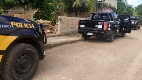 Peto: Vinculan a proceso a sujeto que golpeó a su esposa embarazada, a su suegra y mató a perrita que salió en defensa