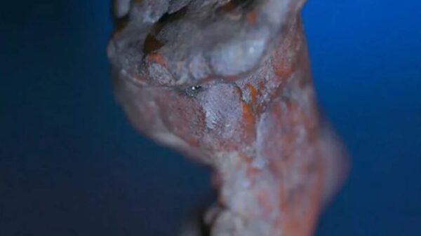 Descubren una huella dactilar en una de las escultura de Miguel Ángel