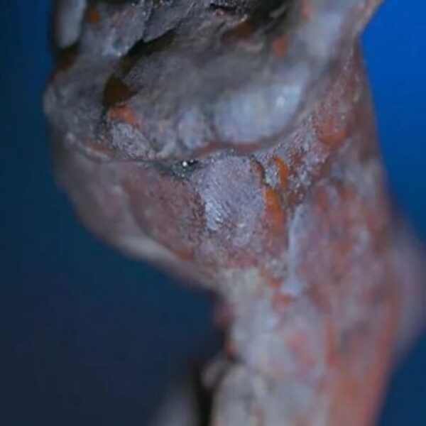 Descubren una huella dactilar en una de las escultura de Miguel Ángel