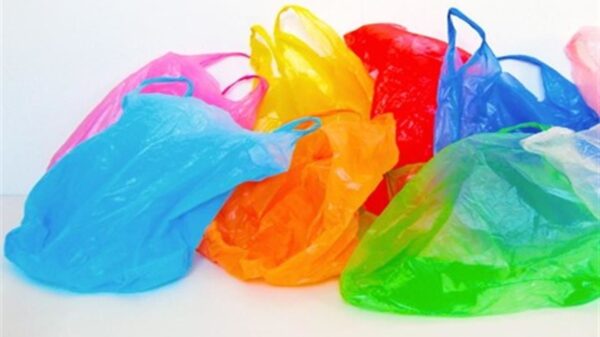 Uno de los mayores problemas medioambientales a los que se enfrenta nuestro planeta es a lo mucho que contamina la basura, especialmente el plástico