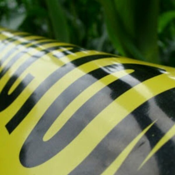 Joven hallado sin vida en Mérida fue asesinado por un presunto pleito pasional