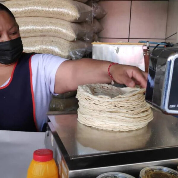 Critican indiferencia de Profeco ante el abuso en precio de la tortilla.