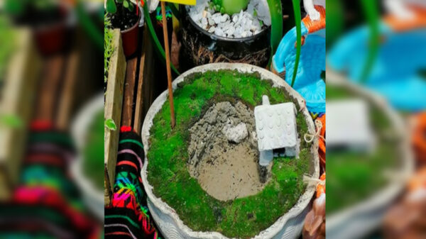 El socavón de Puebla sigue inspirando a los creativos, ahora elaboraron una maceta con la forma de hoyanco, la cual tiene hasta una casa miniatura