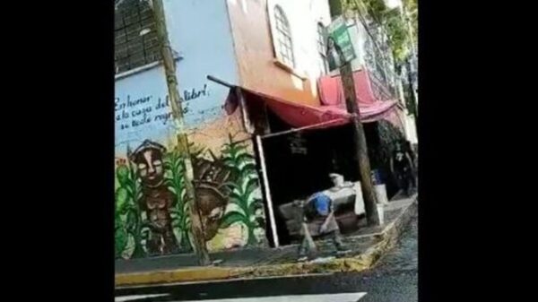 A veces comer en la calle resulta contraproducente, por la falta de higienes en los puestos de fritangas y tacos