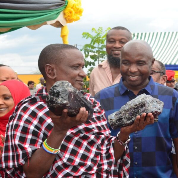 Tras encontrar dos piedras de tanzanita de más de 14 kilogramos, un humilde minero se convirtió en millonario