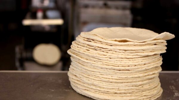 Molineros yucatecos advierten aumento en precio del kilo de tortilla; llegaría a los 25 pesos