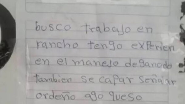 Ángel Medina, hizo su currículum a mano al no tener dinero para imprimirlo y obtuvo 30 ofertas de trabajo