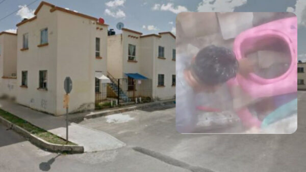 Brutalidad humana: sujeto as3s!na a perrito en Villas Otoch Paraíso