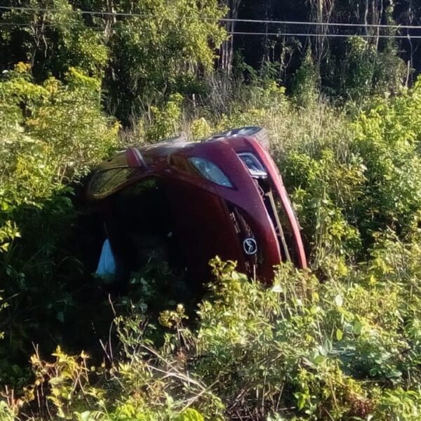 A consecuencia de la neblina una familia termina volcada