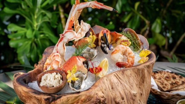 BAK’ SUPERA TODAS TUS EXPECTATIVAS.