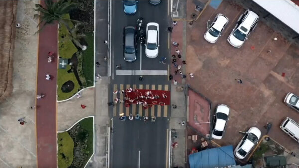 ¿Qué está haciendo Señor Frog 's?