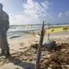Militares aseguran 57 paquetes con droga en playa del Cozumel.