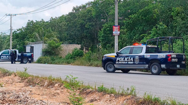 Cancún: Descubren cadáver "embolsado" en la SM 313